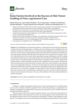 Some Factors Involved in the Success of Side Veneer Grafting of Pinus Engelmannii Carr