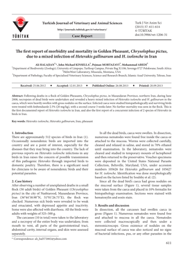 The First Report of Morbidity and Mortality in Golden Pheasant, Chrysolophus Pictus , Due to a Mixed Infection of Heterakis Gall