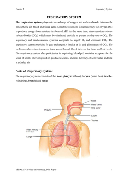 RESPIRATORY SYSTEM Parts of Respiratory System