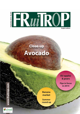 Avocado Close-Up Round-Up Banana Summer Market Pips Infocus EU Apples English Edition & Pears in 2014 Société Internationale D’Importation