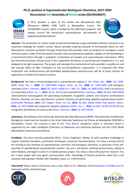 Ph.D. Position in Supramolecular Bioorganic Chemistry, 2017-2020 Hierarchical Self-Assembly of Biomaterials (SELFBIOMAT)