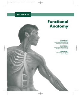 Functional Anatomy