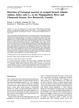 Detection of European Ancestry in Escaped Farmed Atlantic Salmon, Salmo Salar L., in the Magaguadavic River and Chamcook Stream, New Brunswick, Canada