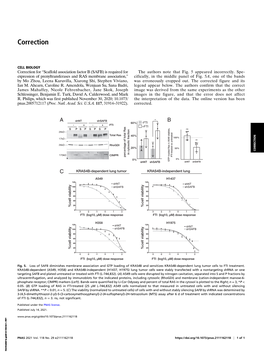 Correction for Zhou Et Al., Scaffold Association Factor B (SAFB) Is Required for Expression of Prenyltransferases and RAS Membra