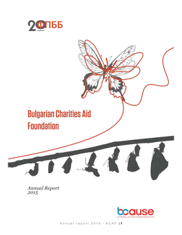 Mott Foundation Grant Reporting Form