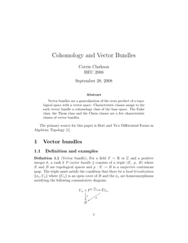 Cohomology and Vector Bundles