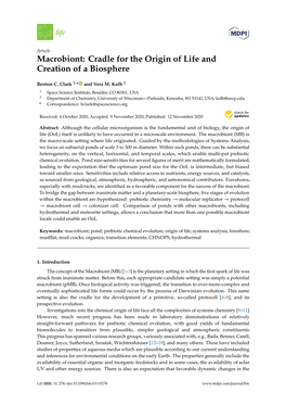 Macrobiont: Cradle for the Origin of Life and Creation of a Biosphere