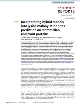Incorporating Hybrid Models Into Lysine Malonylation Sites Prediction on Mammalian and Plant Proteins