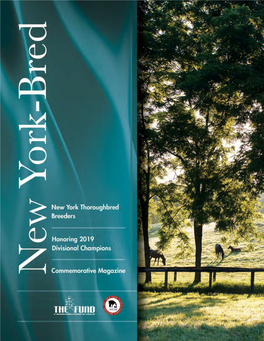 Download the 2019 NYTB Awards Dinner Program