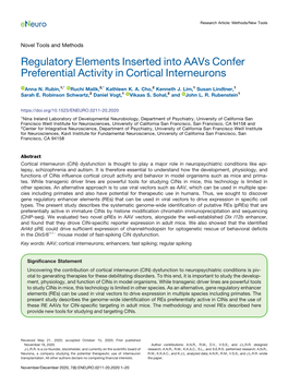 Regulatory Elements Inserted Into Aavs Confer Preferential Activity in Cortical Interneurons
