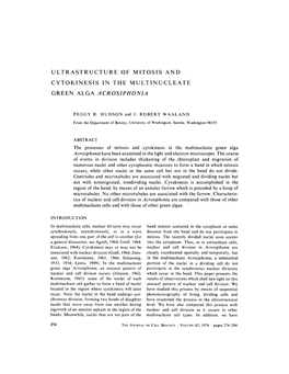 Ultrastructure of Mitosis and Cytokinesis in the Multinucleate Green Alga Acrosiphonia