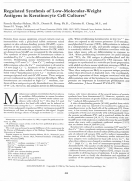 Regulated Synthesis of Low-Molecular-Weight Antigens in Keratinocyte Cell Cultures*