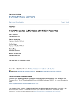 CD2AP Regulates Sumoylation of CIN85 in Podocytes