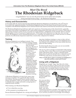 The Rhodesian Ridgeback