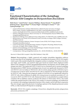 Functional Characterisation of the Autophagy ATG12~5/16 Complex in Dictyostelium Discoideum