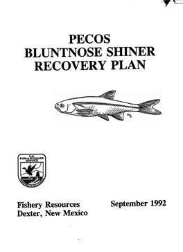 Pecos Bluntnose Shiner Recovery Plan