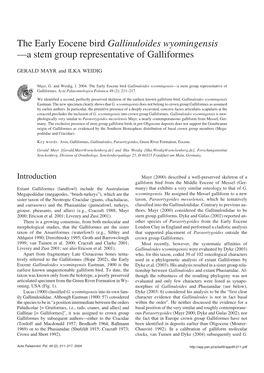 The Early Eocene Bird Gallinuloides Wyomingensis—A Stem Group Representative of Galliformes