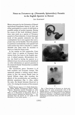 Notes on Tetrameres Sp. (Nematoda, Spiruroidea) Parasitic in the English Sparrow in Hawaii