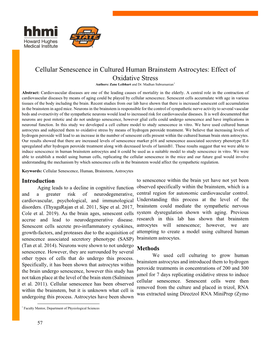 Cellular Senescence in Cultured Human Brainstem Astrocytes: Effect of Oxidative Stress Authors: Zane Leibhart and Dr