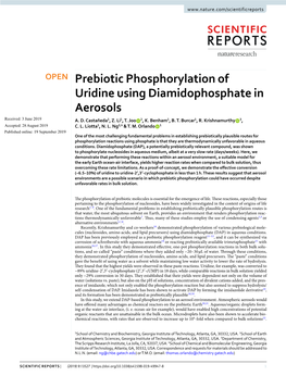 Prebiotic Phosphorylation of Uridine Using Diamidophosphate in Aerosols Received: 3 June 2019 A