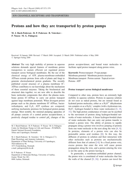 Protons and How They Are Transported by Proton Pumps