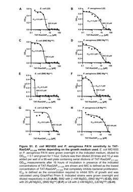 Wild-Type LB High Mg Wild-Type Pseudomonas Aeruginosa