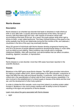 Norrie Disease