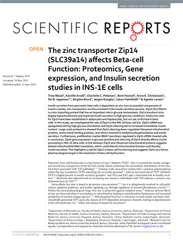 The Zinc Transporter Zip14 (Slc39a14) Affects Beta-Cell Function