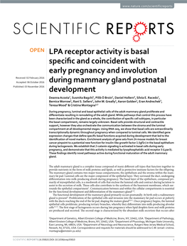 LPA Receptor Activity Is Basal Specific and Coincident with Early