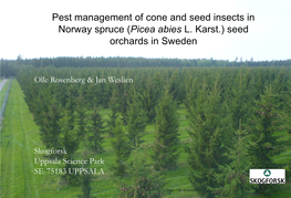 Pest Management of Cone and Seed Insects in Norway Spruce (Picea Abies L