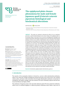 The Epiphyseal Plate Closure Phenomena for Male And