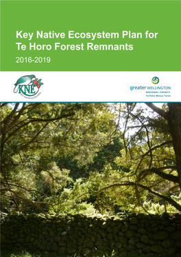 Key Native Ecosystem Plan for Te Horo Forest Remnants 2016-2019