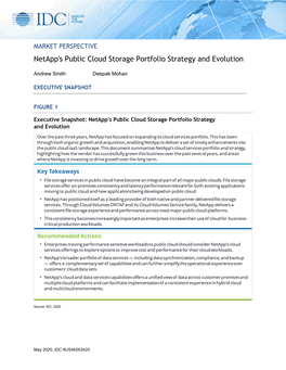 Netapp's Public Cloud Storage Portfolio Strategy and Evolution