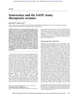 Senescence and the SASP: Many Therapeutic Avenues
