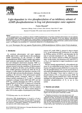 Light-Dependent in Vivo Phosphorylation of an Inhibitory Subunit of Cgmp-Phosphodiesterase in Frog Rod Photoreceptor Outer Segments