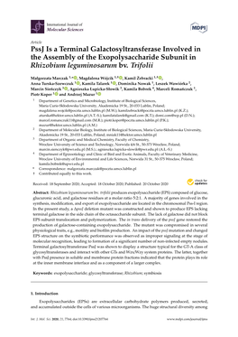 Pssj Is a Terminal Galactosyltransferase Involved in the Assembly of the Exopolysaccharide Subunit in Rhizobium Leguminosarum Bv