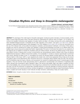 Circadian Rhythms and Sleep in Drosophila Melanogaster