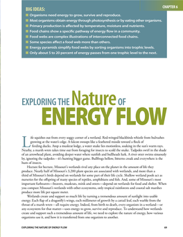 Chapter 6 ■ Organisms Need Energy to Grow, Survive and Reproduce