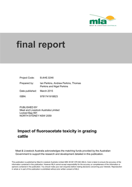 Final Report Template