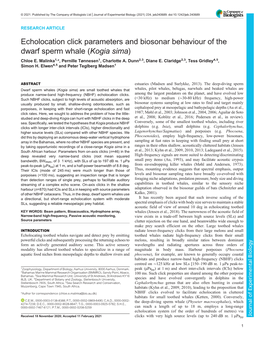 Echolocation Click Parameters and Biosonar Behaviour of the Dwarf Sperm Whale (Kogia Sima) Chloe E