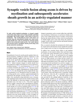 Synaptic Vesicle Fusion Along Axons Is Driven by Myelination and Subsequently Accelerates Sheath Growth in an Activity-Regulated Manner