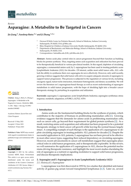 Asparagine: a Metabolite to Be Targeted in Cancers