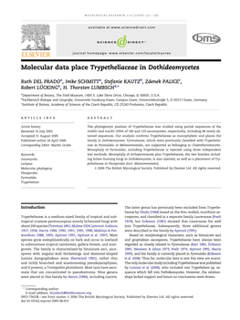 Molecular Data Place Trypetheliaceae in Dothideomycetes