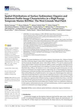 Spatial Distributions of Surface Sedimentary Organics and Sediment Proﬁle Image Characteristics in a High-Energy Temperate Marine Riomar: the West Gironde Mud Patch