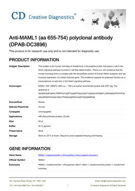 Anti-MAML1 (Aa 655-754) Polyclonal Antibody (DPAB-DC3896) This Product Is for Research Use Only and Is Not Intended for Diagnostic Use