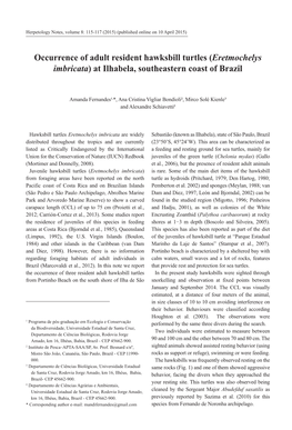 Occurrence of Adult Resident Hawksbill Turtles (Eretmochelys Imbricata) at Ilhabela, Southeastern Coast of Brazil