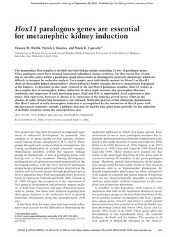 Hox11 Paralogous Genes Are Essential for Metanephric Kidney Induction