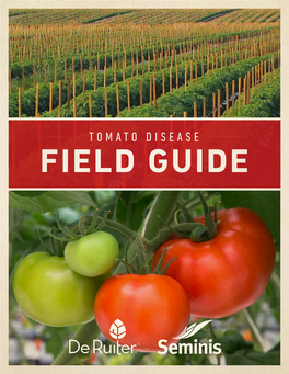 Tomato Disease Tomato Field Guide Field