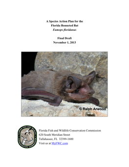 A Species Action Plan for the Florida Bonneted Bat Eumops Floridanus