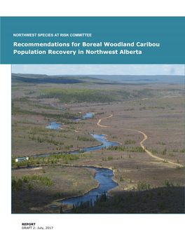 Recommendations for Boreal Woodland Caribou Population Recovery in Northwest Alberta